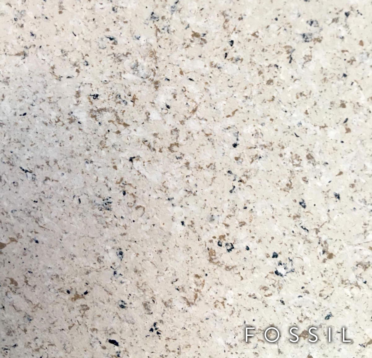 Fossil Countertop Color by Kitchen & Bath Restoration in Houston Texas